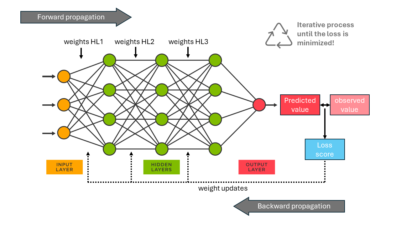 The main components of an Artificial Neural Network